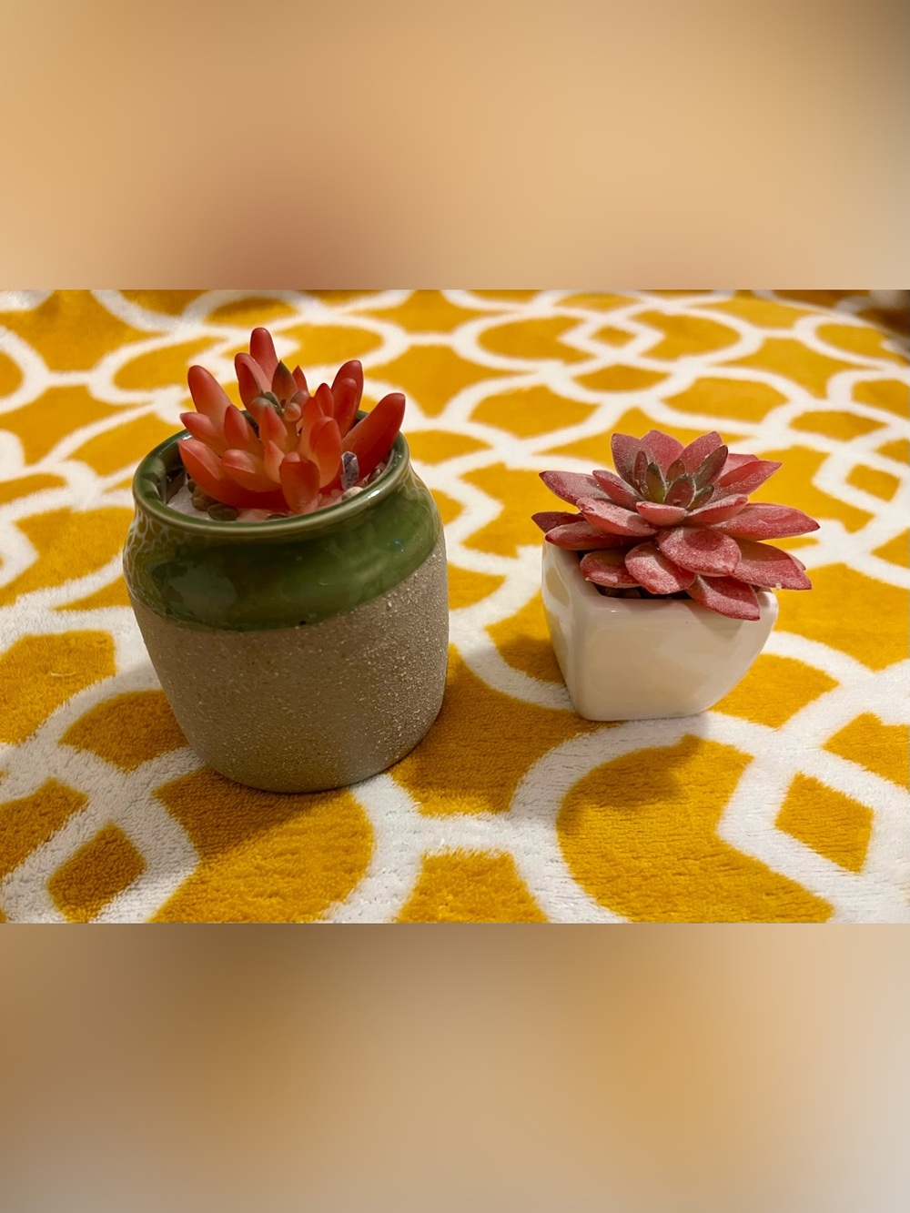 Set of 2 Artificial Succulent Plants in Ceramic Pots, Round Gray & White Square